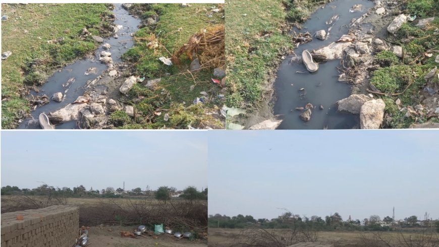 दुर्दशा का शिकार हो रहा पुर का बड़ा तालाब