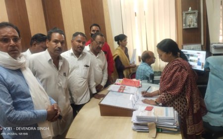 विभिन्न समस्याओं को लेकर कलेक्टर से मिला पुर का प्रतिनिधिमंडल