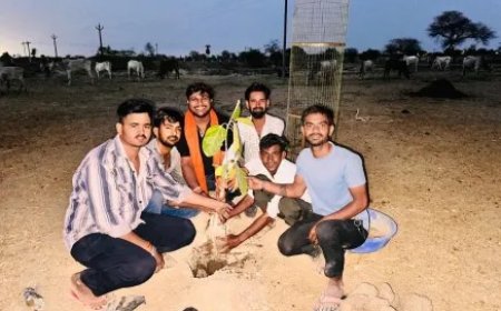 गौशाला में गो भक्तों ने जन्म दिवस के अवसर पर  किया पौधा रोपण