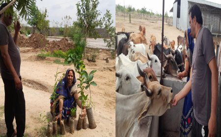 बेटी बचाओ बेटी पढ़ाओ अभियान तहत वृक्षारोपण किया