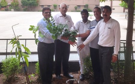अपने जन्मदिन पर महेश स्कुल में किया पौधारोपण