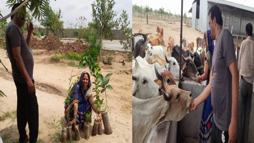 बेटी बचाओ बेटी पढ़ाओ अभियान तहत वृक्षारोपण किया