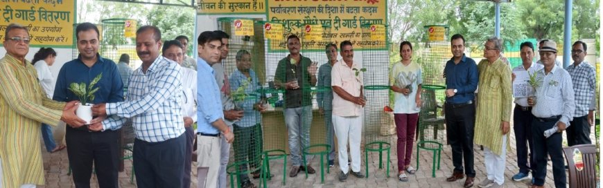 पर्यावरण संरक्षण के लिए पौधारोपण जरूरी