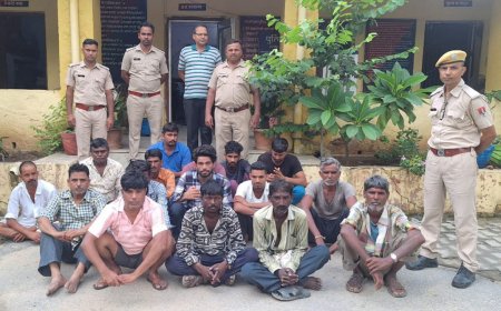 एरिया डोमिनेशन अभियान