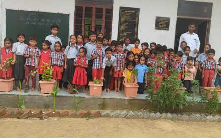 हरियालो राजस्थान एक पेड़ मां के नाम अभियान