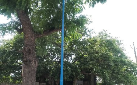 यूआईटी द्वारा लगाई लाइटे कई महीनों से खराब पड़ी