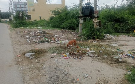 जिम्मेदार लोग उड़ा रहे स्वच्छ भारत अभियान की धज्जिया