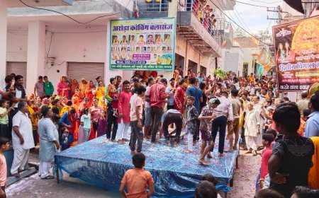 हाथी घोड़ा पालकी, जय कन्हैया लाल की