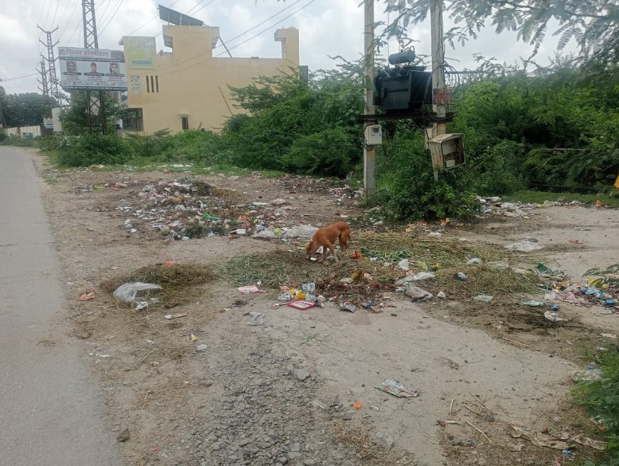 जिम्मेदार लोग उड़ा रहे स्वच्छ भारत अभियान की धज्जिया