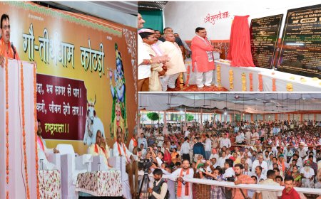 गौमाता का सनातन संस्कृति में सर्वोच्च स्थान