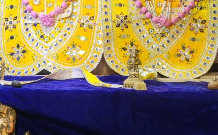 जलझूलनी एकादशी पर नगर भ्रमण पर निकले ठाकुर जी