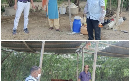 सरवाड़ में मिला स्क्रब टायफस का रोगी  क्षेत्र में स्क्रब टायफस बीमारी तेजी से फैल रही है।