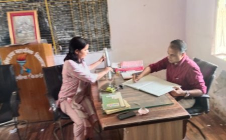 उपखण्ड अधिकारी ने किया विद्यालय का निरीक्षण