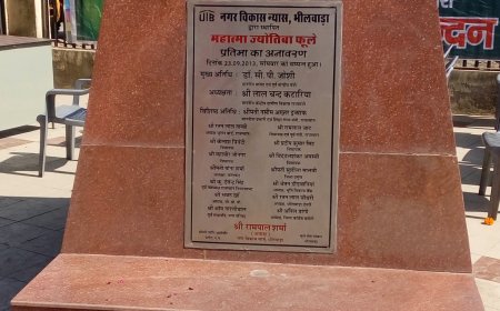 महात्मा फूले मूर्ति स्थापना दिवस कल रविवार को*