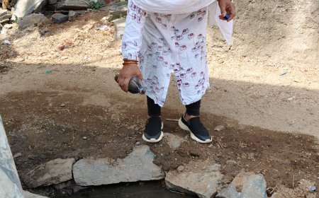 कही आपके घर में तो पैदा नहीं हो रहे मच्छर, सावधानी बरतें