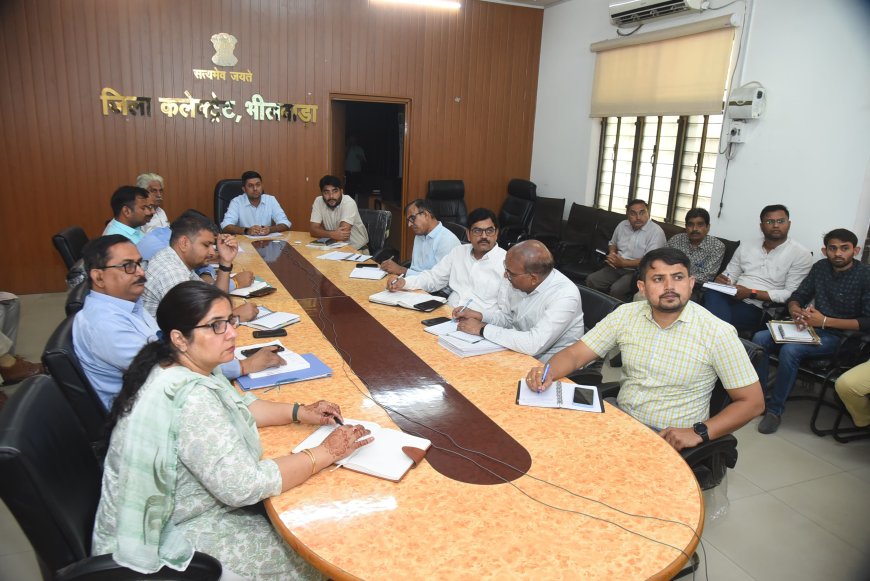 हीट वेव से बचाव व रोकथाम के लिए  अधिकारी रहे अलर्ट :- जिला कलेक्टर