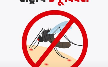 राष्ट्रीय डेंगू दिवस 16 मई को