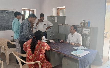 उपखंड अधिकारी ने किया निरीक्षण