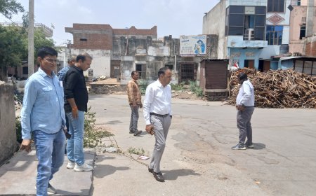 उपखंड अधिकारी ने किया निरीक्षण