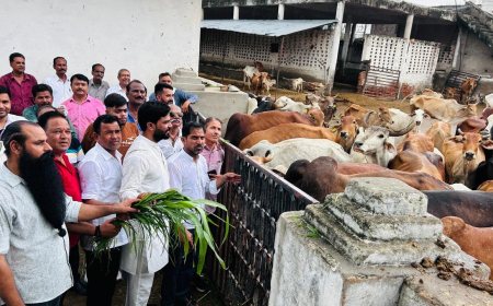 कांग्रेस कार्यकर्ताओं ने धूमधाम से मनाया राहुल गांधी व  व्यास का जन्मदिन