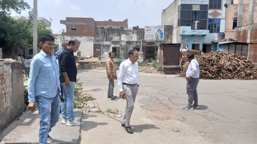 उपखंड अधिकारी ने किया निरीक्षण