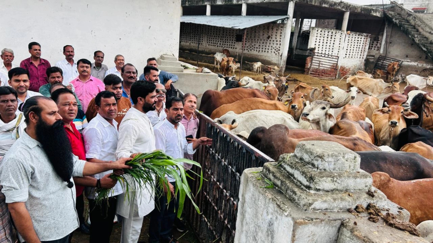 कांग्रेस कार्यकर्ताओं ने धूमधाम से मनाया राहुल गांधी व  व्यास का जन्मदिन