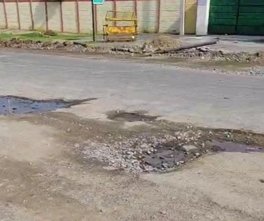 शाहपुरा-भीलवाड़ा मार्ग पर गड्ढों की भरमार, ग्रामीणों में रोष