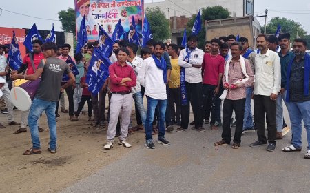 भीम आर्मी जिलाउपाध्यक्ष का पौधा लगाकर मनाया  जन्म दिवस