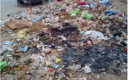 नगर परिषद का स्वच्छता का  दावा खोखला !