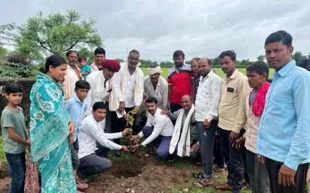 जन सहयोग द्वारा 320 रनिंग फिट तार जाली करवाकर 60 पौधे रोपे