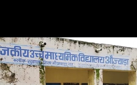 विद्यालय  में चार दिवारी नही