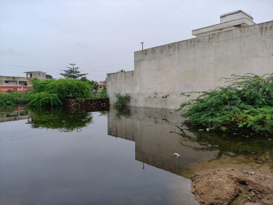 असावा कॉलोनी में भरा पानी