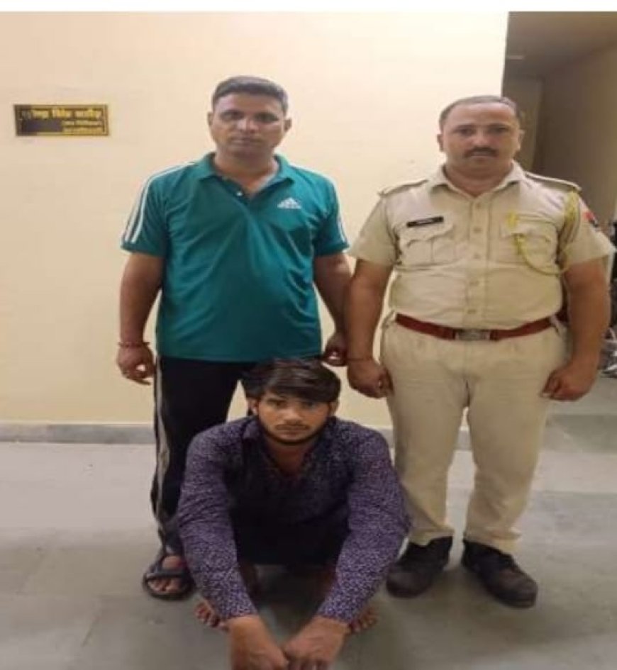 कारोई पुलिस द्वारा अवैध फायर आर्म्स के विरूद्ध कार्यवाही