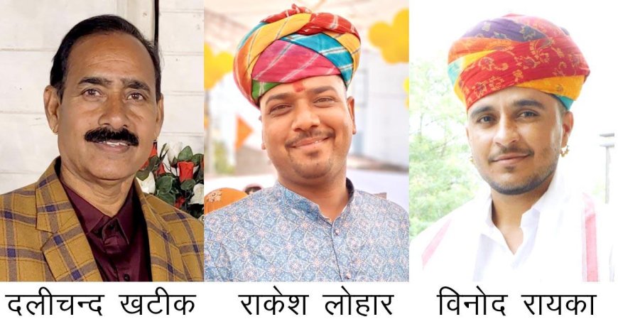 भीलवाड़ा जिला कांग्रेस सेवादल की जिला कार्यकारिणी घोषित*