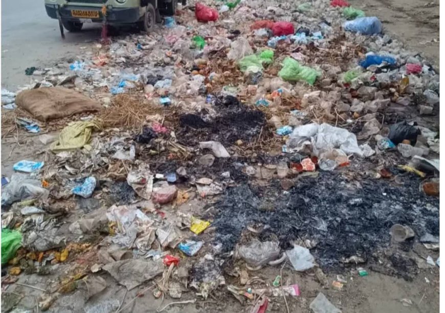 नगर परिषद का स्वच्छता का दावा खोखला !