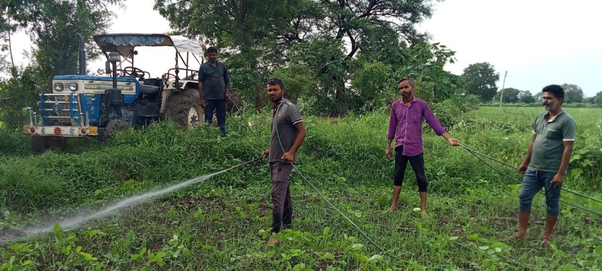 मौसम खुलने के बाद फसलों पर किसान कर रहे दवाइयां का छिड़काव मेनपुरीया।