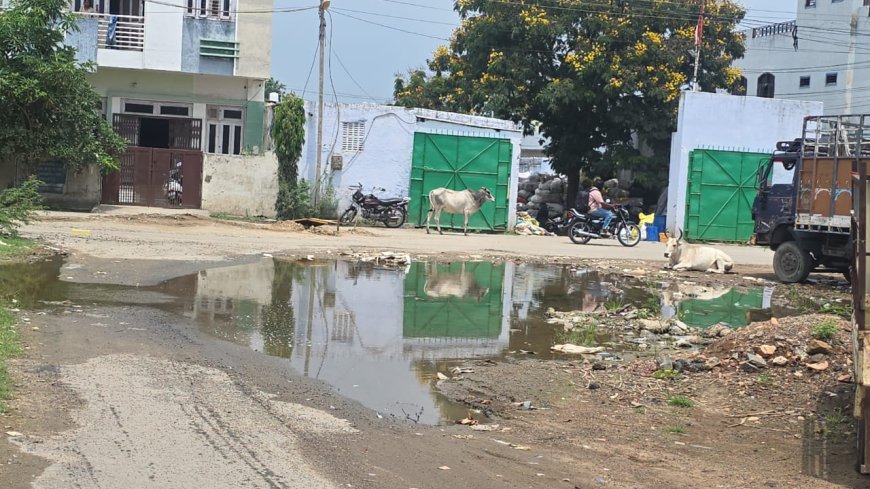 पानी की निकासी नही होने से रोड पर भरता है गन्दा पानी