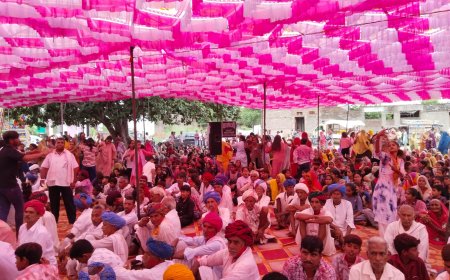 बाडीया का श्याम में जलझूलनी एकादशी पर देव  भजनो पर नाचे झूमे  श्रद्धालु