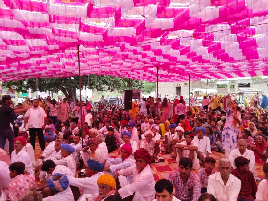 बाडीया का श्याम में जलझूलनी एकादशी पर देव  भजनो पर नाचे झूमे  श्रद्धालु