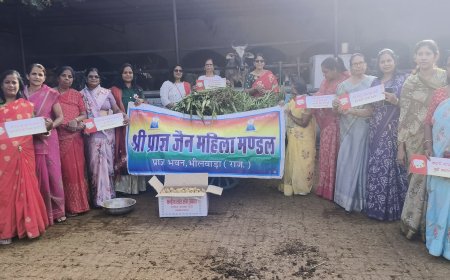 **श्री प्राज्ञ जैन महिला मंडल द्वारा गौसेवा का पुण्य कार्य**