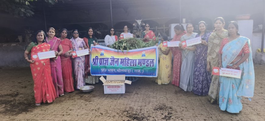 **श्री प्राज्ञ जैन महिला मंडल द्वारा गौसेवा का पुण्य कार्य**