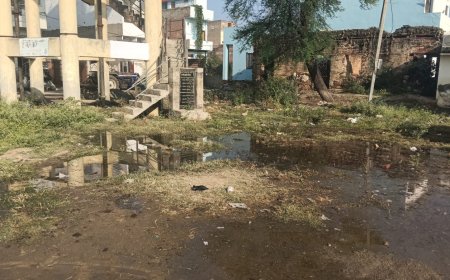 मोखुंदा: बदहालियों से घिरा ‘आदर्श पंचायत’ का ताज!*