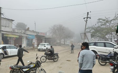 कोहरे का कहर