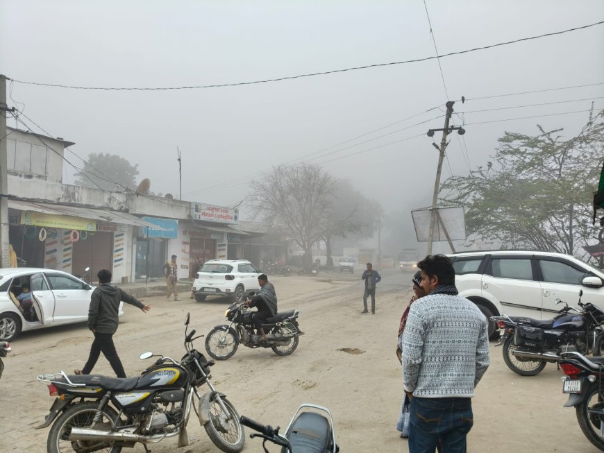 कोहरे का कहर