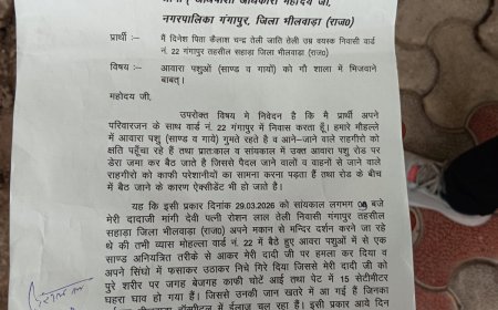 गंगापुर में आवारा गौवंश बना हादसों की वजह, लोगों में आक्रोश