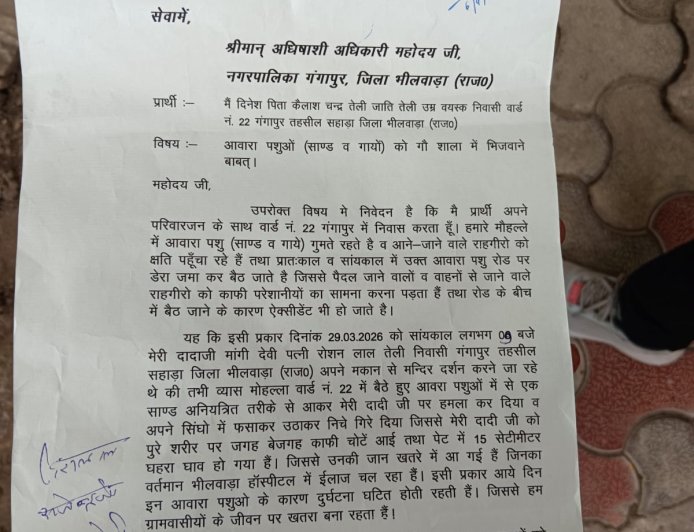 गंगापुर में आवारा गौवंश बना हादसों की वजह, लोगों में आक्रोश