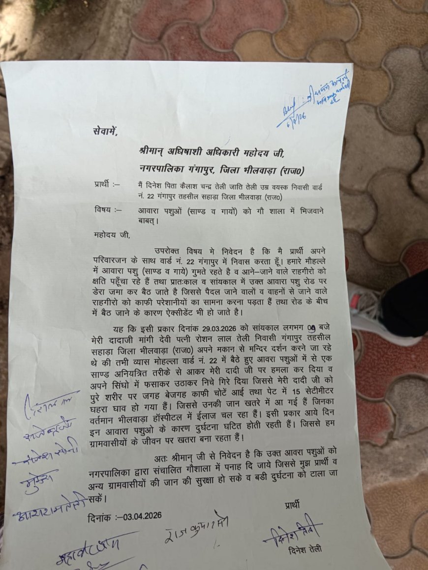 गंगापुर में आवारा गौवंश बना हादसों की वजह, लोगों में आक्रोश