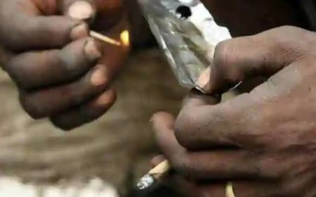 खुलेआम हो रहा है सरवाड में मादक पदार्थ बेचने का धंधा