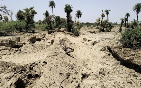 चरागाह भूमि पर अवैध खनन का आरोप, ग्रामीणों ने कार्रवाई की उठाई मांग