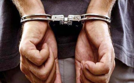 पारोली पुलिस ने मंदिर चोरी का किया खुलासा